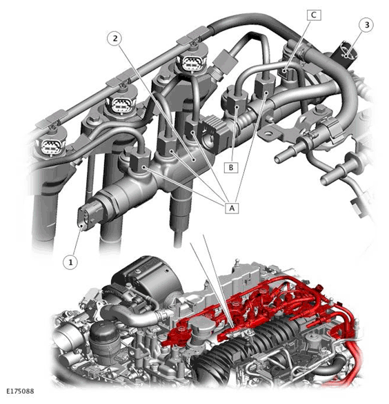 G11697805