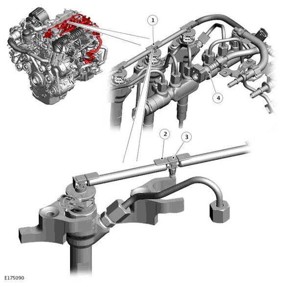 G11697807