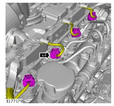 G11697815