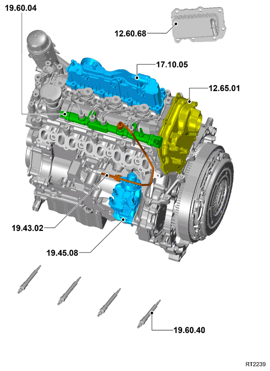 G11697832