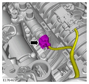 G11697838