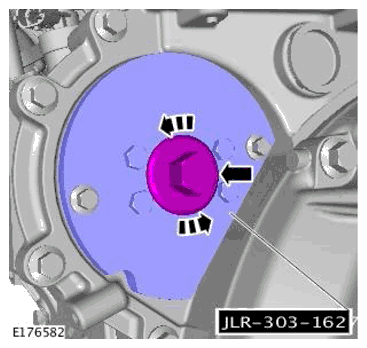 G11697865