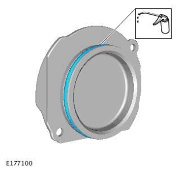 G11697875