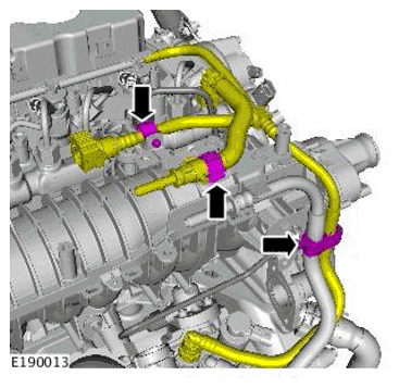 G11697899