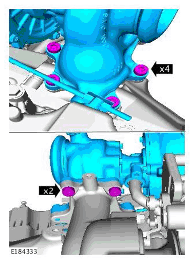G11697956