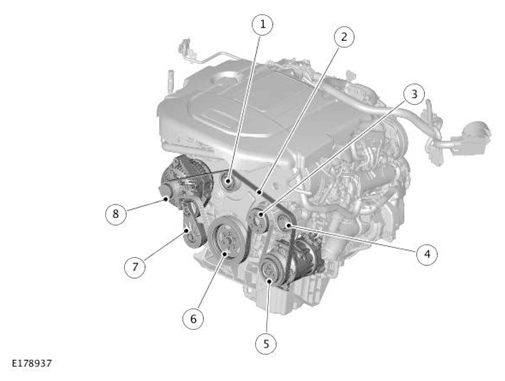 G11697994