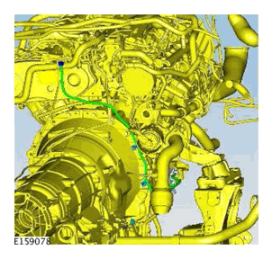 G11698183