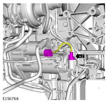 G11698194