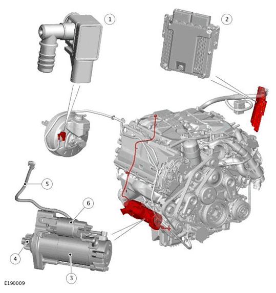 G11698223