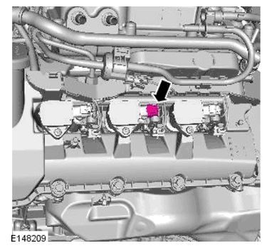 G11698294