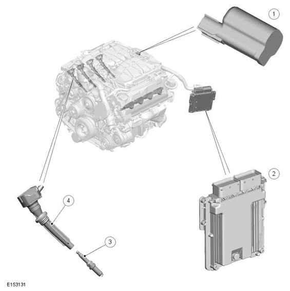 G11698301