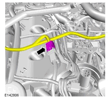 G11698323