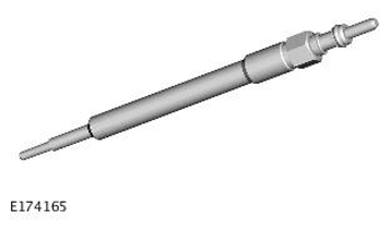 G11698344