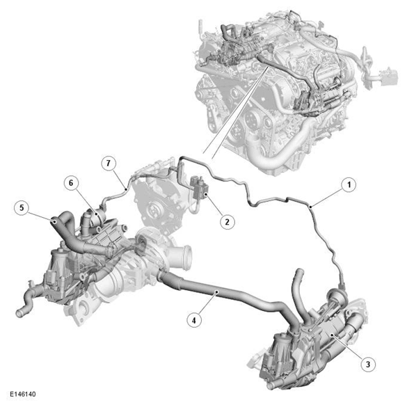 G11698356