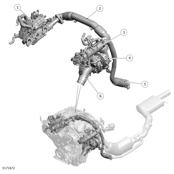 G11698357