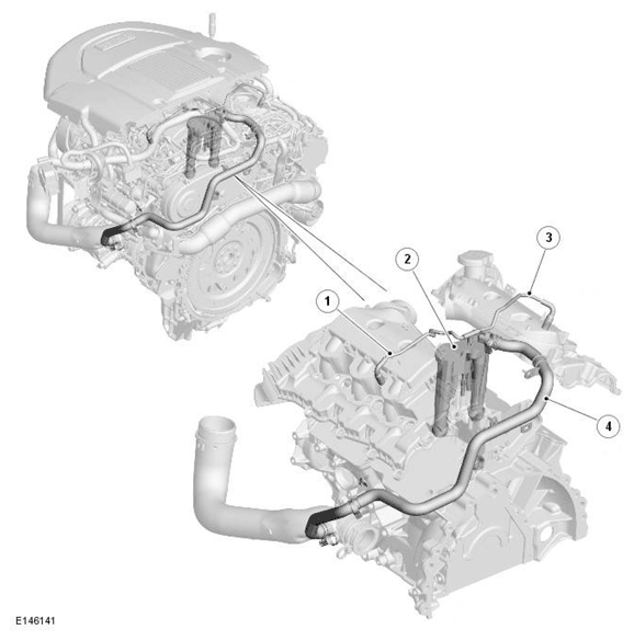 G11698358