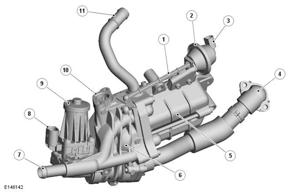 G11698359