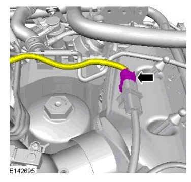 G11698398