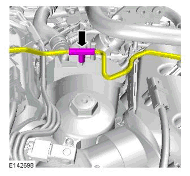 G11698399
