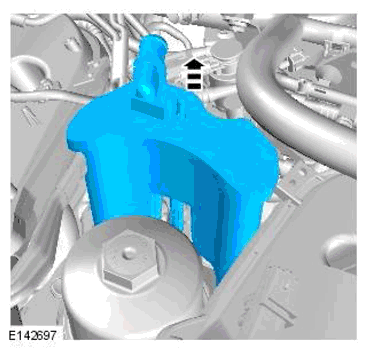 G11698401