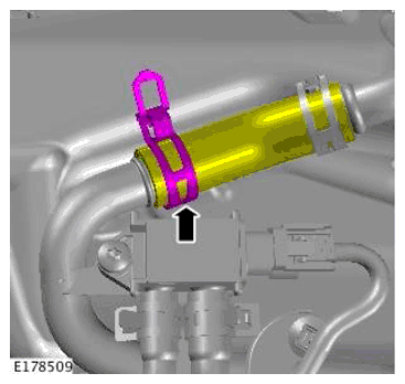 G11698404