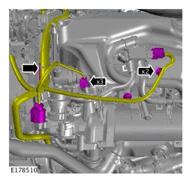 G11698405