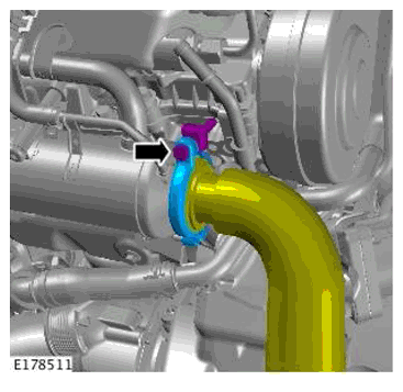 G11698406