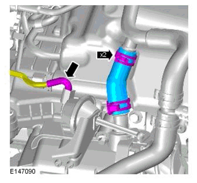 G11698411
