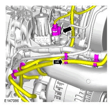 G11698412