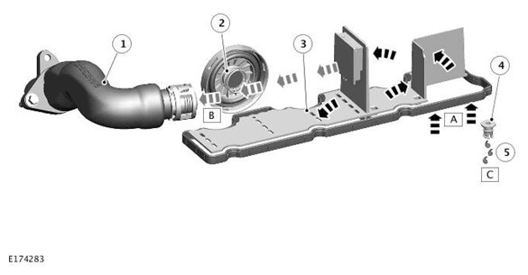 G11698648