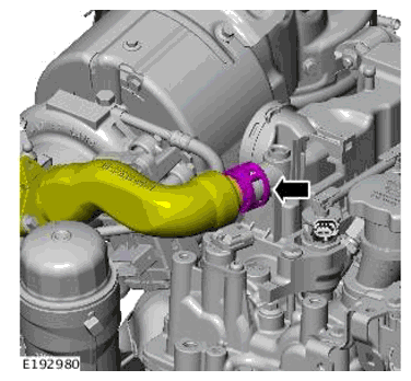 G11698663