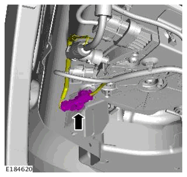 G11698696