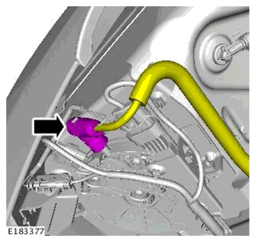 G11698697