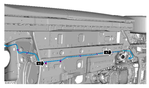 G11698706