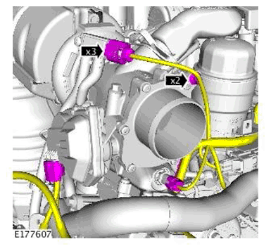 G11698707