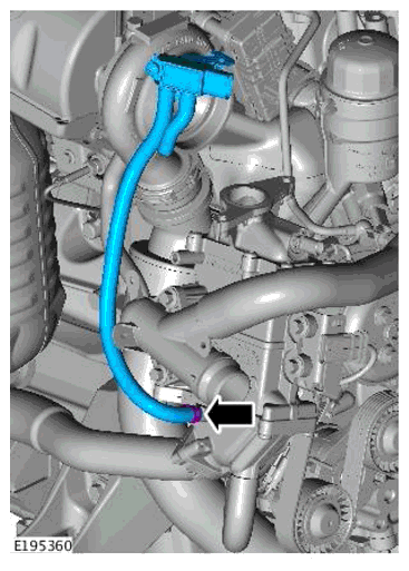 G11698711