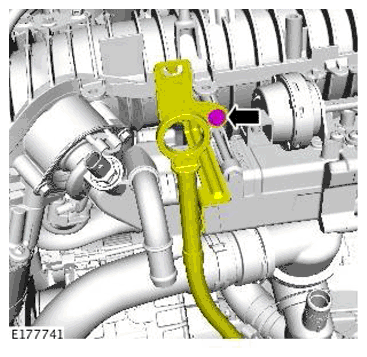 G11698737