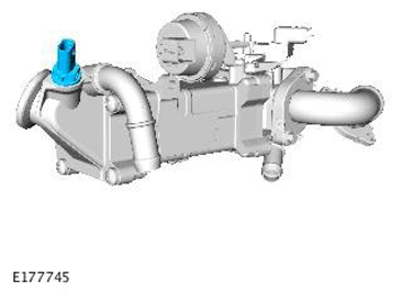 G11698741