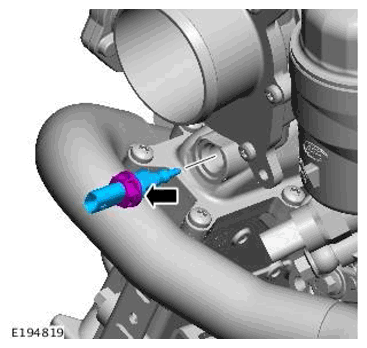 G11698748