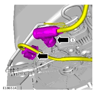 G11698751