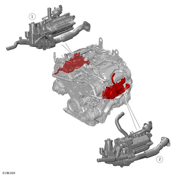 G11699176