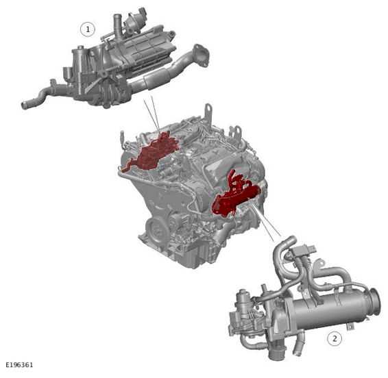 G11699177