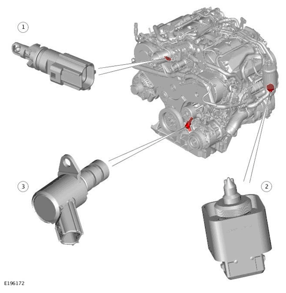 G11699178