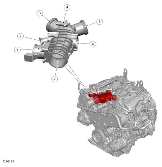G11699187