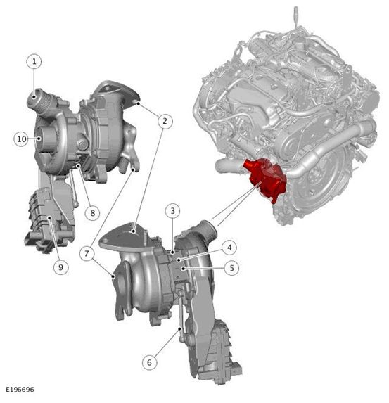 G11699198