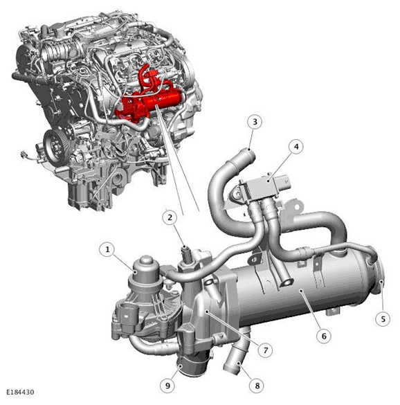 G11699202