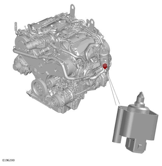 G11699204