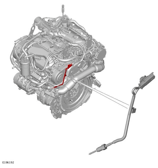 G11699216