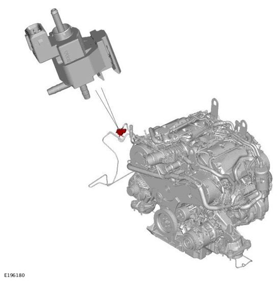 G11699225
