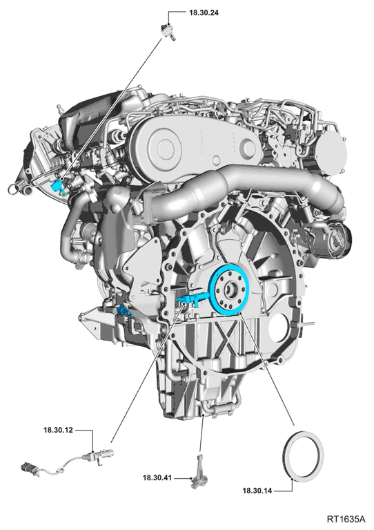 G11699234